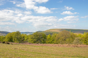 Summertime scenery along Hergest ridge in the UK.