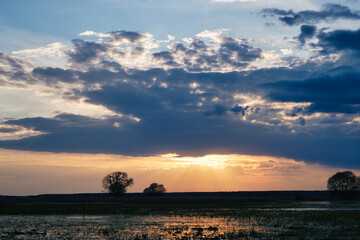 Early spring on the Biebrza Marshes, April sunset