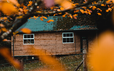 Beautiful view of a wooden cabin surrounded by autumn trees