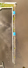 Vertical top view of the pier at the Hudson River with greenery around it