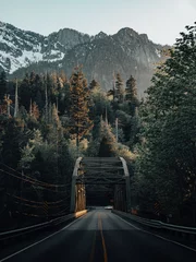 Wall murals Black Vertical shot of a long road through rural mountain areas in Washington