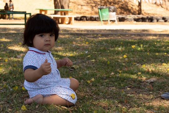 funny portrait of a Hispanic baby crawling in a park