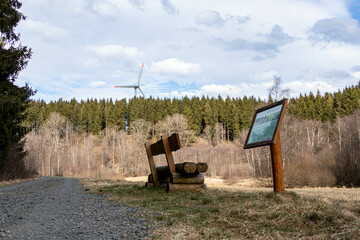 A sunny day for hiking in the forest