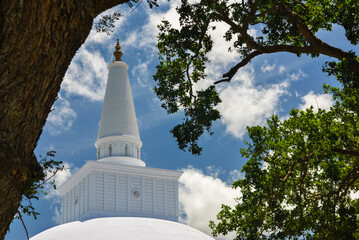 Ruwanwelisaya maha stupa, buddhist monument seen through trees, Anuradhapura, Sri Lanka