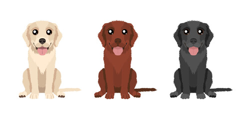 Set of three vector Labrador Retrievers illustrations isolated on white background