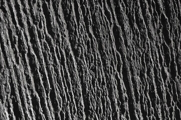 gray background, in the photo, gray concrete wall close-up.