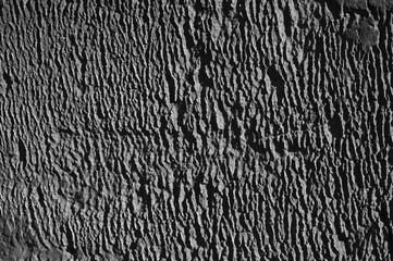 gray background, in the photo, gray concrete wall close-up.