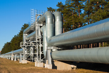 pipeline, in the photo pipeline close-up against a background of green forest and blue sky.