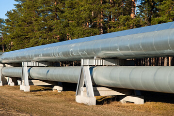 pipeline, in the photo pipeline close-up against a background of green forest and blue sky.