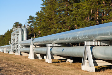 pipeline, in the photo pipeline close-up against a background of green forest and blue sky.