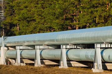 pipeline, in the photo the pipeline is a close-up in the background of a green forest.