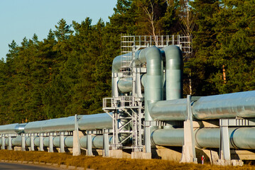 Fototapeta na wymiar pipeline, in the photo pipeline close-up against a background of green forest and blue sky.