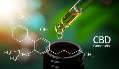 CBD Hemp oil, Hand holding droplet of Cannabis oil against black background. with the formula CBD...