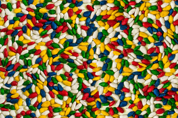 Fototapeta na wymiar Colorful background of multicolored sunflower seeds in bright glaze