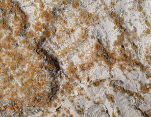Closeup surface texture of natural rock stone. Rock texture background.