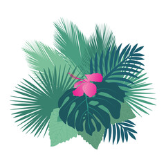 palm leaves