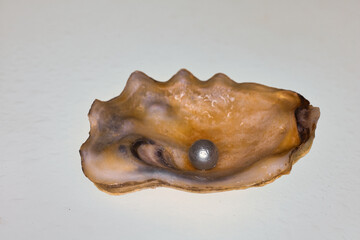 Perle in einer Muschel