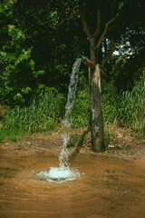 Bica agua cristalina 