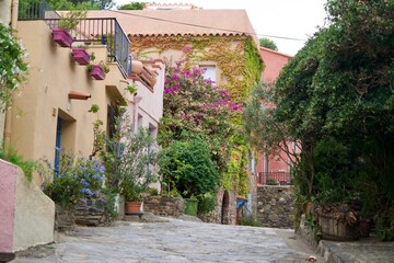 Greened houses of Collioure