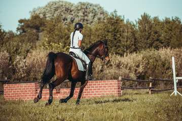 A woman jockey participates in competitions in equestrian sport, jumping.