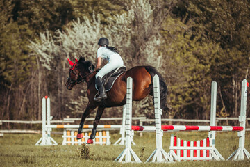 A woman jockey participates in competitions in equestrian sport, jumping.