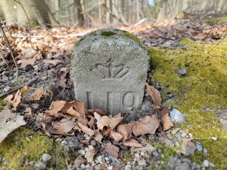 Dänischer Granzstein