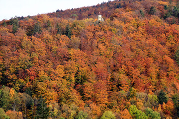 Der Herbst verzaubert unsere Natur. Kleinschmallalden, Thüringen, Deutschland, Europa --
Autumn enchants our nature. Kleinschmallalden, Thuringia, Germany, Europe