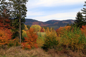 Fototapeta premium Der Herbst verzaubert unsere Natur. Kleinschmallalden, Thüringen, Deutschland, Europa -- Autumn enchants our nature. Kleinschmallalden, Thuringia, Germany, Europe