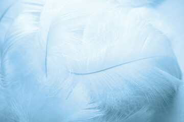 Fototapeta na wymiar Blue fluffy bird feathers. Beautiful fog. A message to the angel. The texture of delicate feathers soft focus