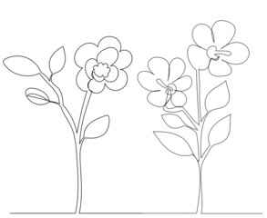 flowers drawing in one continuous line vector