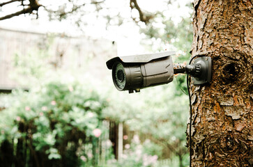 Gray surveillance camera hanging on a tree in the garden