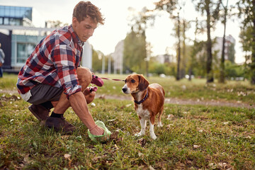 A young guy in the park collects a poop of his dog. Friendship, walk, pets
