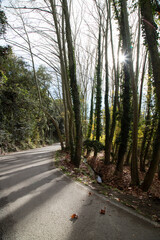 Curve of a road in Gualba