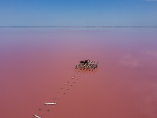 wooden piers in salt lake, wooden remains in pink lake