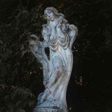 Old stone angel on a background of cypress (faith concept)