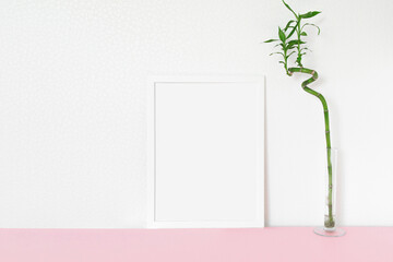 indoor plant green DRACAENA and a white frame for your text on a white background on a pink table