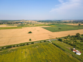 Obraz premium Aerial view of sunflower field near village of Boshulya, Bulgaria