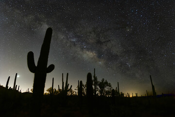 Milky way over saguaro cactus © James