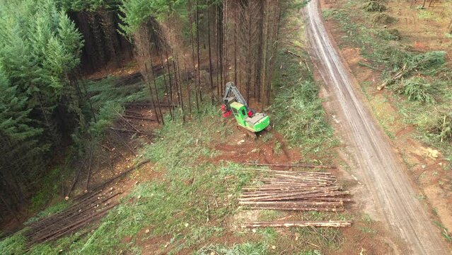 Drone aerial clearcut logging heavy equipment machinery
