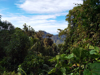 Cerro Pando Panamá Costa Rica