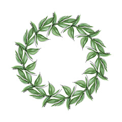Botanical frame, framing with branches in a circle. A wreath of green branches with leaves, laconic, a combination of watercolor and linear style. For the design of printed products.