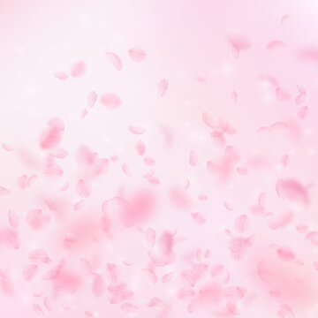 Sakura petals falling down. Romantic pink flowers gradient. Flying petals on pink square background. Love, romance concept. Dazzling wedding invitation.