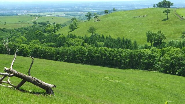 Hokkaido. A view of the blue sky and the magnificent ranch. (pan)