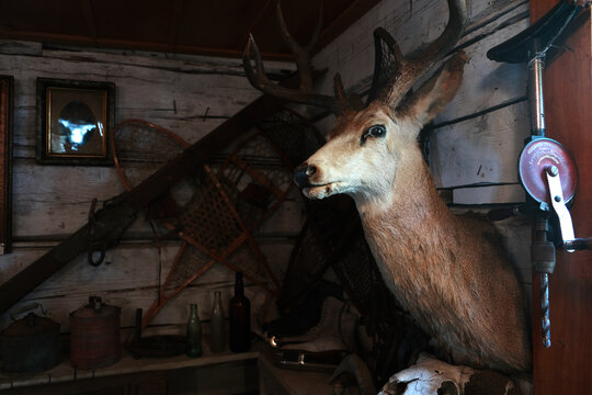 Deer statue hanging on the wood wall. - Powered by Adobe