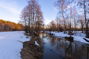 Mystical winter landscape near the river. The trees are illuminated by the rays of the setting sun.