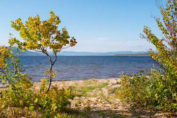 A golden sandy beach in a wide open bay with a blue ocean in the background. The beach is empty. There are trees with green leaves and shrubs in the foreground. The sky is blue with clouds.