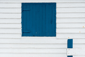 Obraz na płótnie Canvas A vibrant royal blue wooden shutter door on a white wood wall. The exterior of the building is covered in white horizontal beveled clapboard siding. The boards on the window are vertical with hinges. 