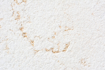 rough surface of limestone wallpaper