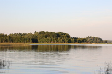 Forest and lake