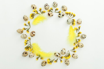 Frame of eggs and yellow flowers on white background. Flat lay. Easter holiday